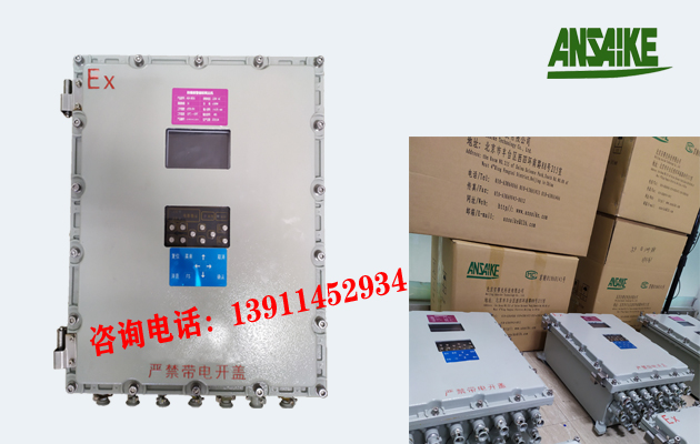  ASK-8010